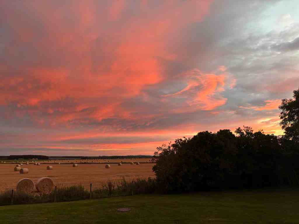 Photo of Moray's barley fields, by Cadmus Copy
