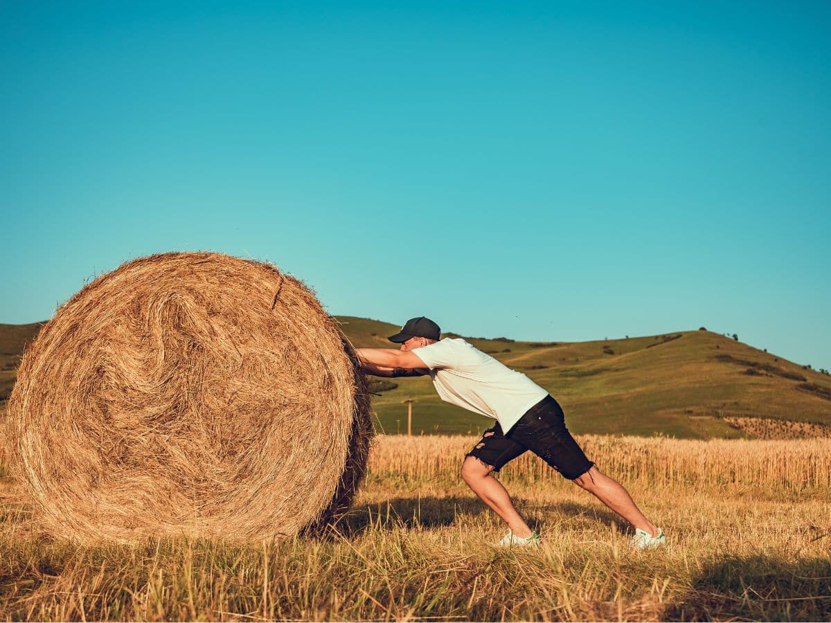 Scalable Digital Marketing For Small Businesses in Elgin, Moray