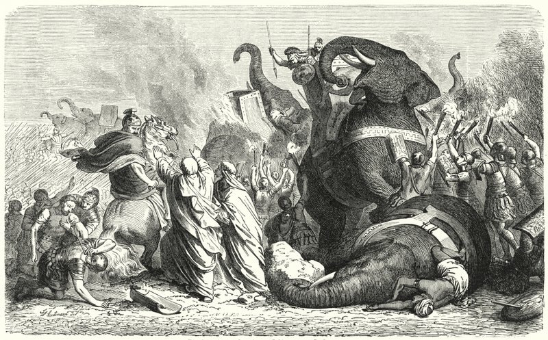 Scalable Digital Marketing For Small Businesses in Elgin, Moray